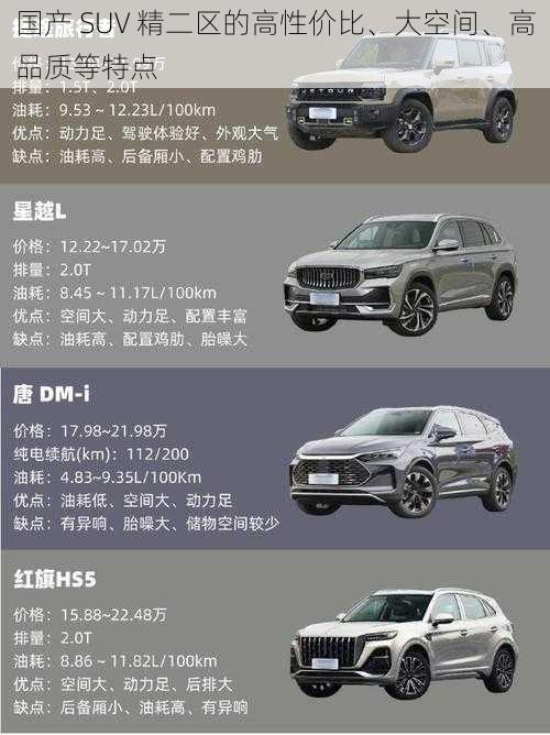 国产 SUV 精二区的高性价比、大空间、高品质等特点