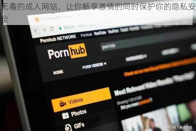 无毒的成人网站，让你畅享激情的同时保护你的隐私安全