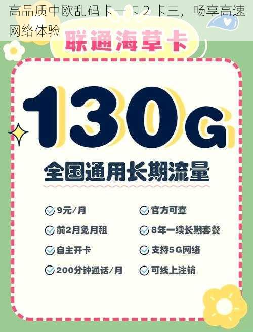 高品质中欧乱码卡一卡 2 卡三，畅享高速网络体验