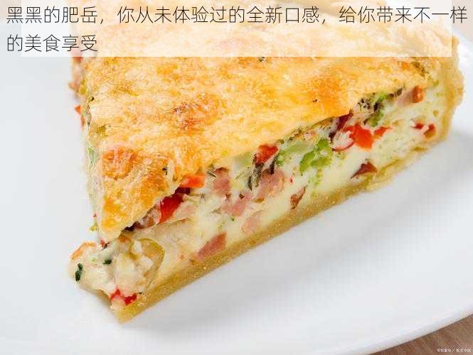 黑黑的肥岳，你从未体验过的全新口感，给你带来不一样的美食享受