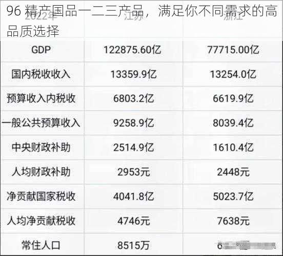 96 精产国品一二三产品，满足你不同需求的高品质选择