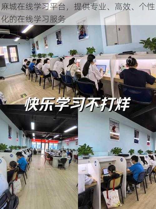 麻城在线学习平台，提供专业、高效、个性化的在线学习服务