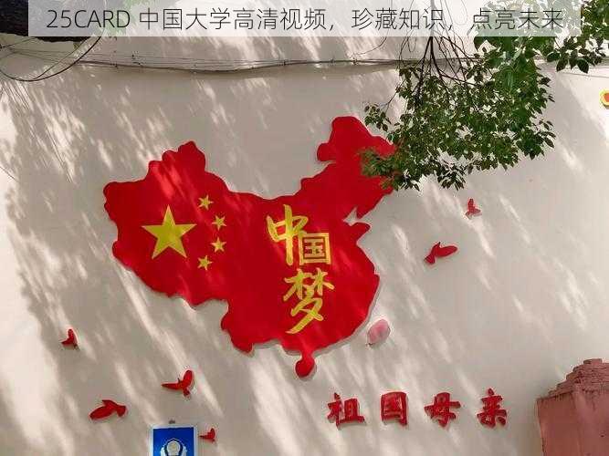 25CARD 中国大学高清视频，珍藏知识，点亮未来