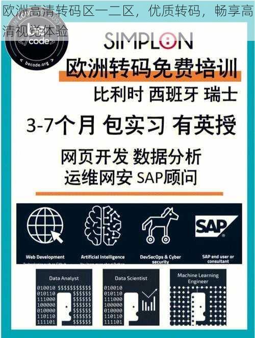 欧洲高清转码区一二区，优质转码，畅享高清视觉体验