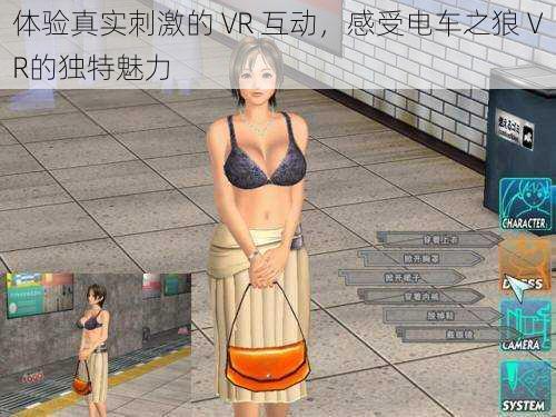 体验真实刺激的 VR 互动，感受电车之狼 VR的独特魅力