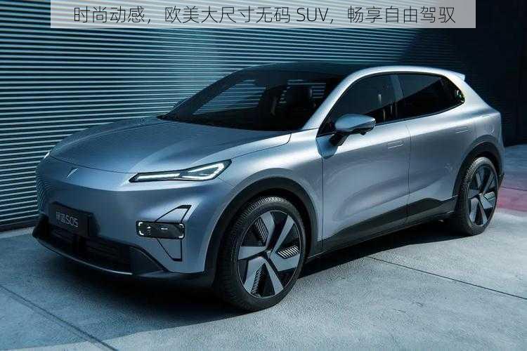 时尚动感，欧美大尺寸无码 SUV，畅享自由驾驭