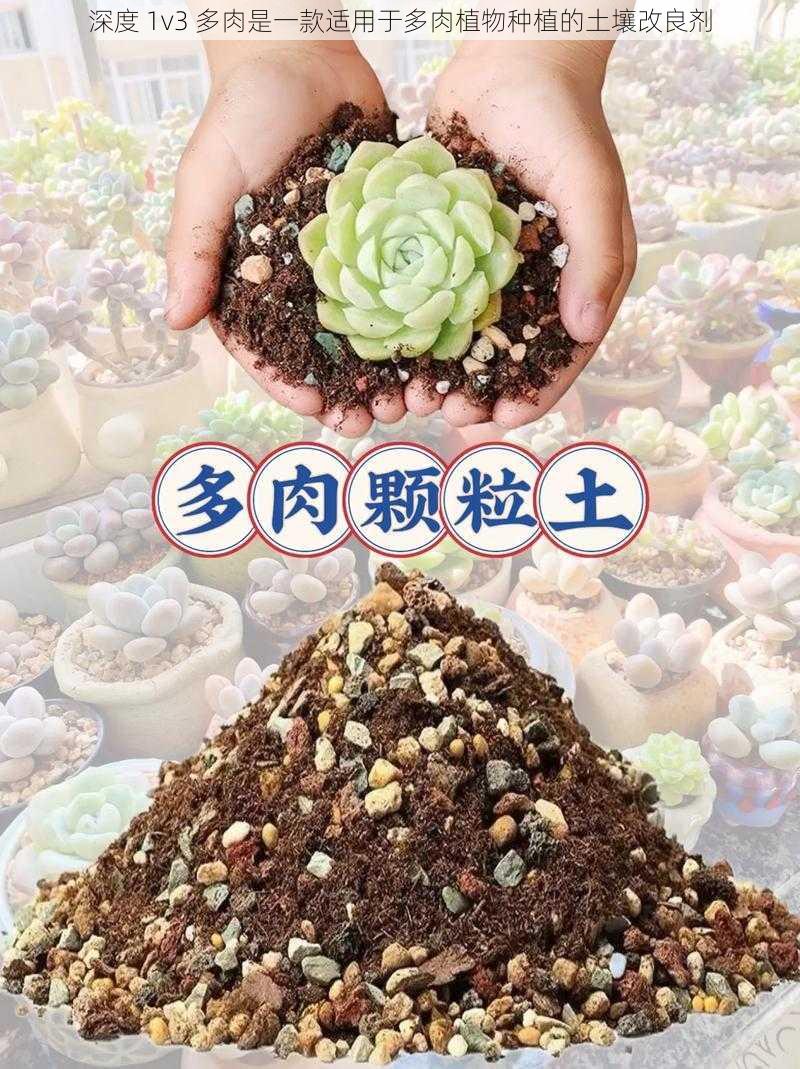 深度 1v3 多肉是一款适用于多肉植物种植的土壤改良剂