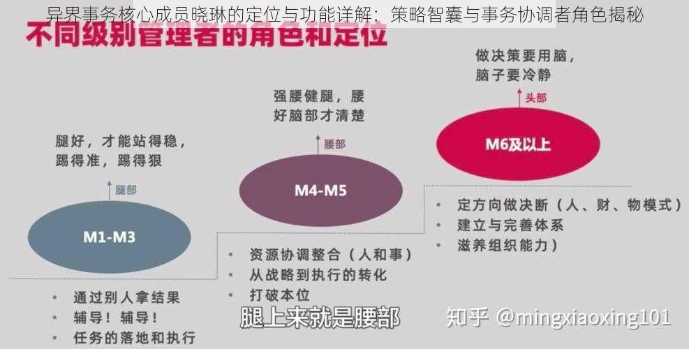 异界事务核心成员晓琳的定位与功能详解：策略智囊与事务协调者角色揭秘