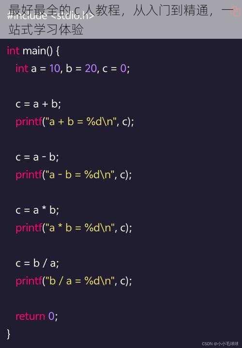 最好最全的 c 人教程，从入门到精通，一站式学习体验