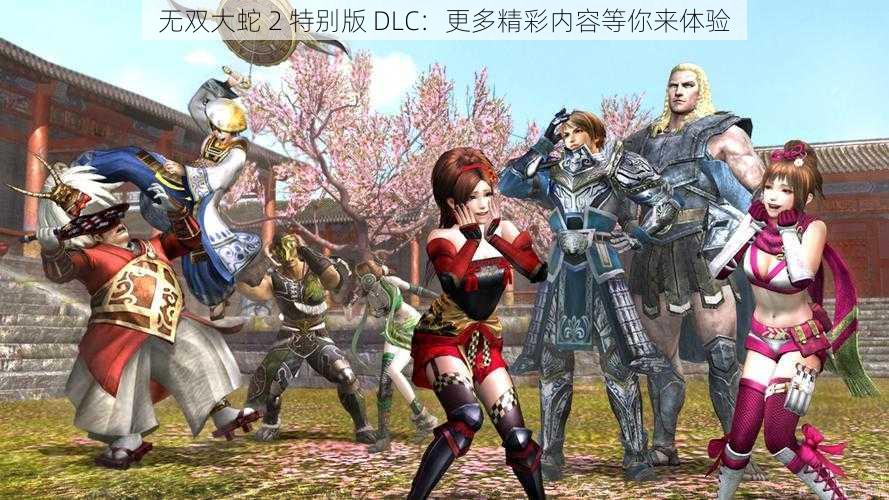 无双大蛇 2 特别版 DLC：更多精彩内容等你来体验