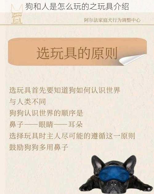 狗和人是怎么玩的之玩具介绍