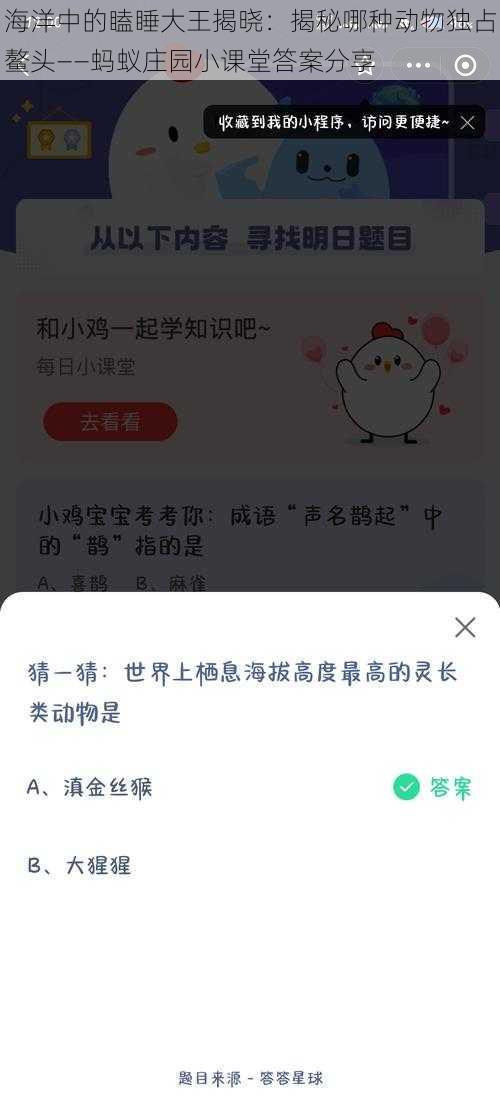 海洋中的瞌睡大王揭晓：揭秘哪种动物独占鳌头——蚂蚁庄园小课堂答案分享