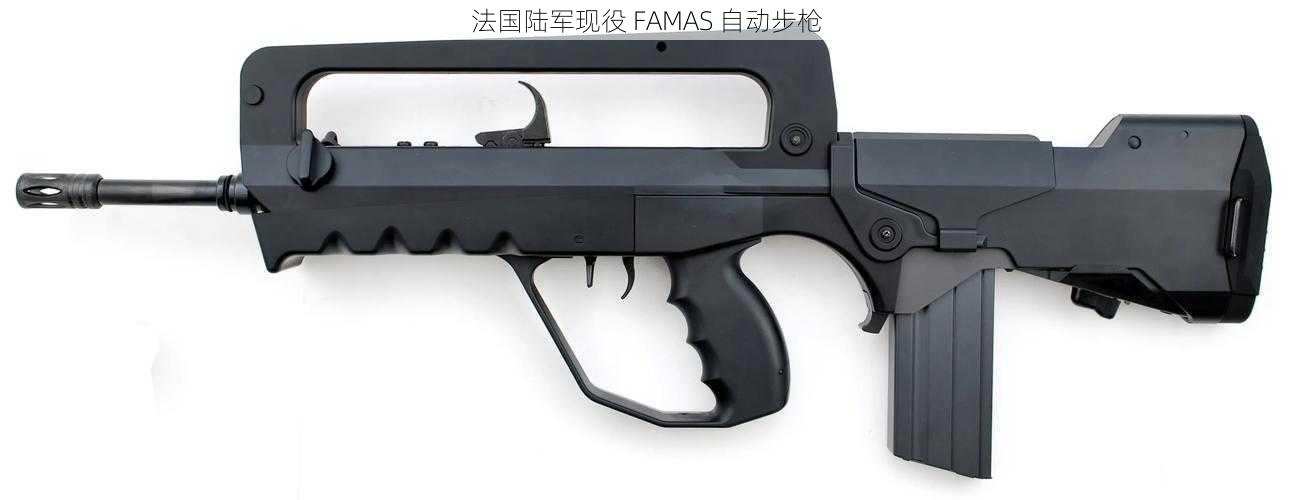 法国陆军现役 FAMAS 自动步枪