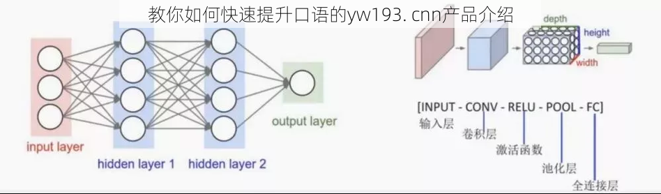 教你如何快速提升口语的yw193. cnn产品介绍