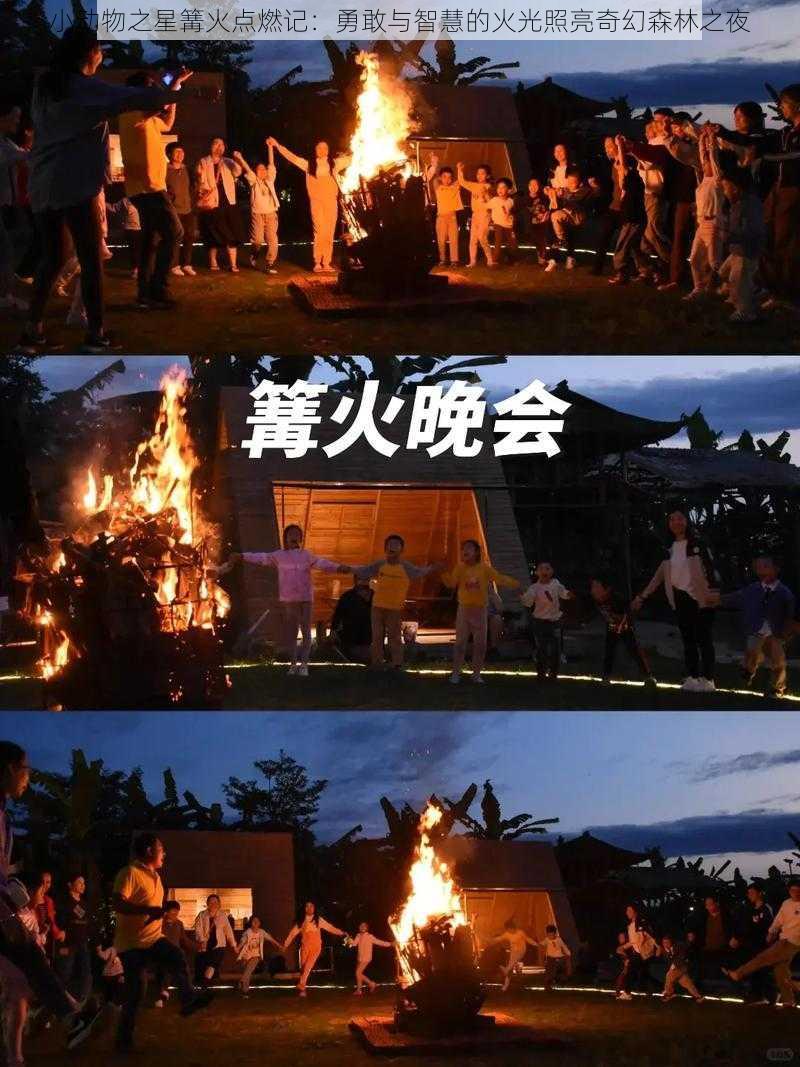 小动物之星篝火点燃记：勇敢与智慧的火光照亮奇幻森林之夜