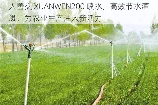 人善交 XUANWEN200 喷水，高效节水灌溉，为农业生产注入新活力