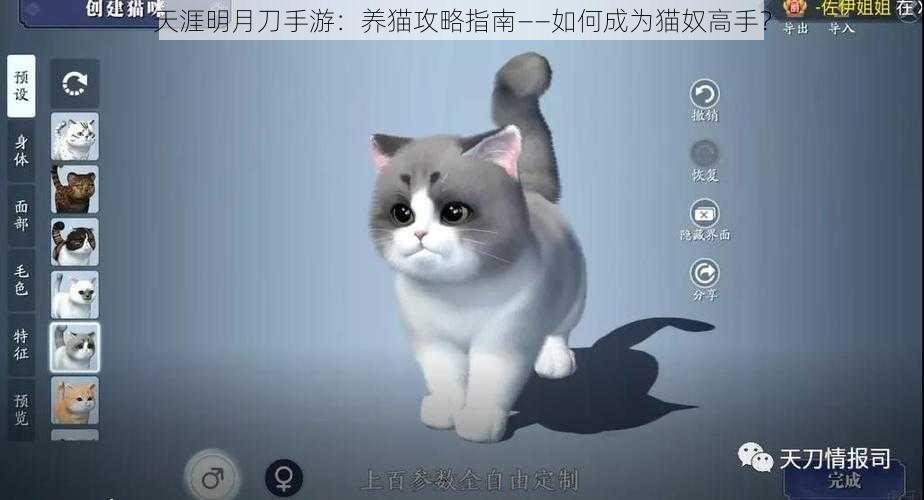 天涯明月刀手游：养猫攻略指南——如何成为猫奴高手？