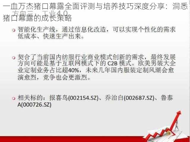 一血万杰猪口幕露全面评测与培养技巧深度分享：洞悉猪口幕露的成长策略