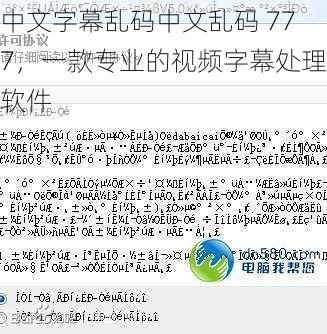 中文字幕乱码中文乱码 777，一款专业的视频字幕处理软件