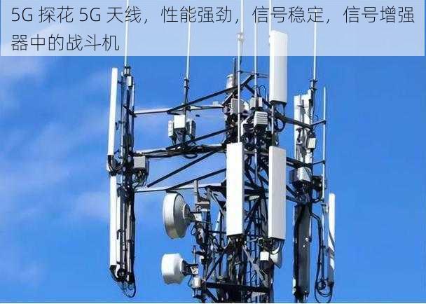 5G 探花 5G 天线，性能强劲，信号稳定，信号增强器中的战斗机