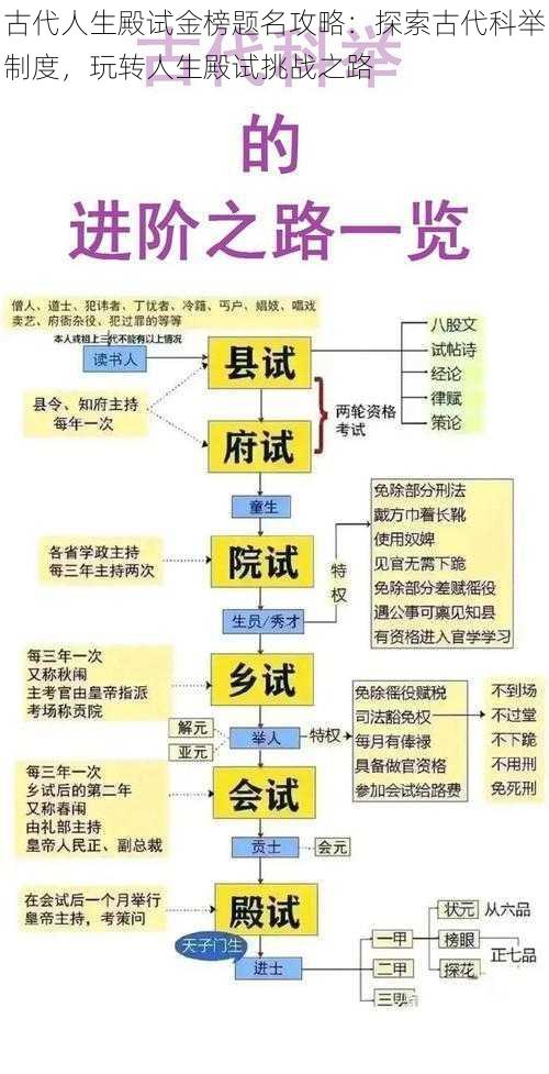 古代人生殿试金榜题名攻略：探索古代科举制度，玩转人生殿试挑战之路