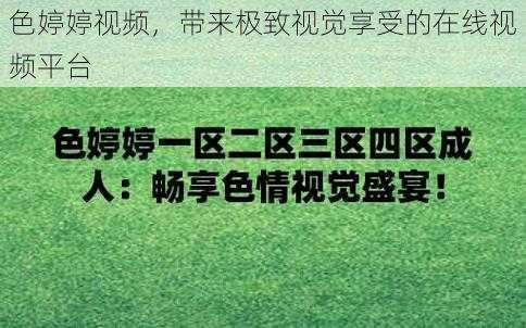 色婷婷视频，带来极致视觉享受的在线视频平台