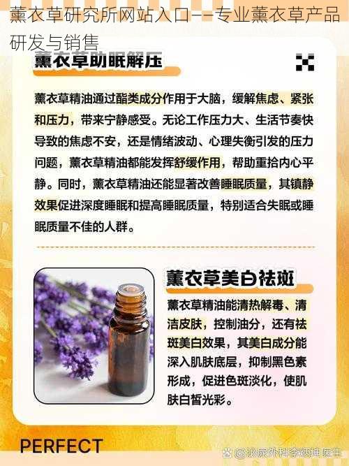 薰衣草研究所网站入口——专业薰衣草产品研发与销售