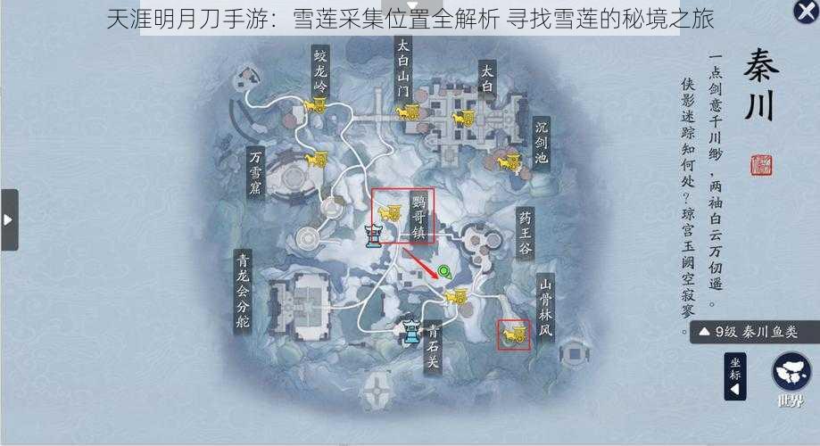 天涯明月刀手游：雪莲采集位置全解析 寻找雪莲的秘境之旅