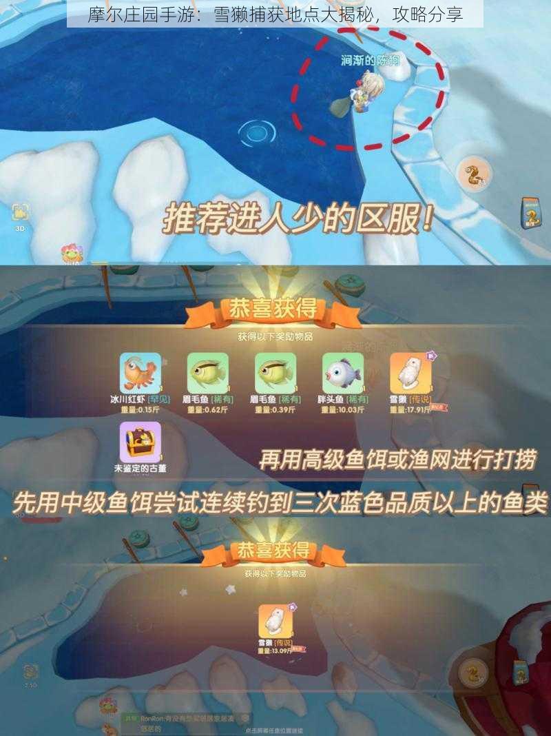 摩尔庄园手游：雪獭捕获地点大揭秘，攻略分享