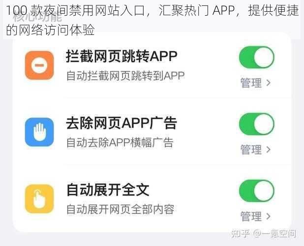 100 款夜间禁用网站入口，汇聚热门 APP，提供便捷的网络访问体验