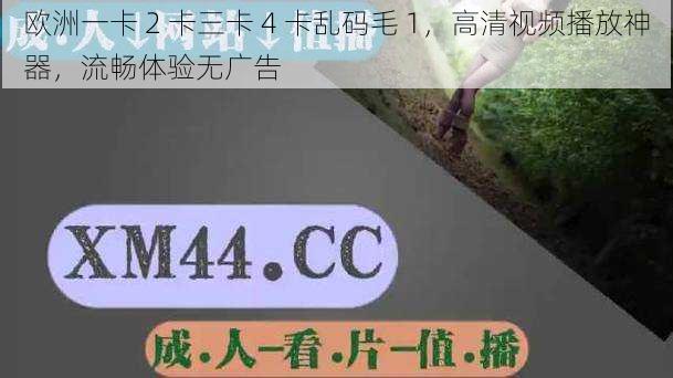 欧洲一卡 2 卡三卡 4 卡乱码毛 1，高清视频播放神器，流畅体验无广告