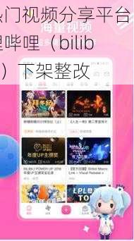 热门视频分享平台哔哩哔哩（bilibili）下架整改