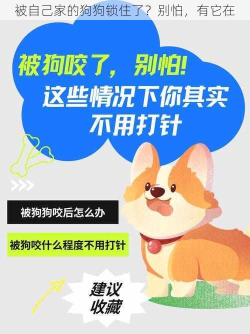 被自己家的狗狗锁住了？别怕，有它在