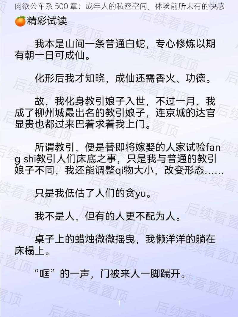 肉欲公车系 500 章：成年人的私密空间，体验前所未有的快感