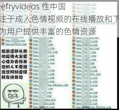 freefryvideos 性中国专注于成人色情视频的在线播放和下载，为用户提供丰富的色情资源