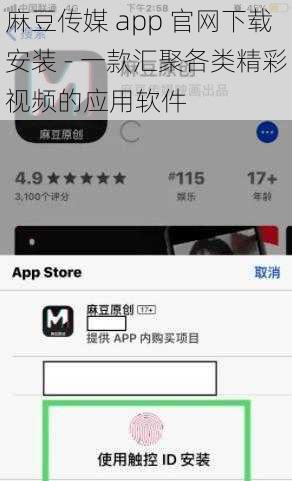 麻豆传媒 app 官网下载安装 - 一款汇聚各类精彩视频的应用软件