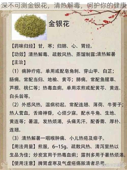 深不可测金银花，清热解毒，呵护你的健康