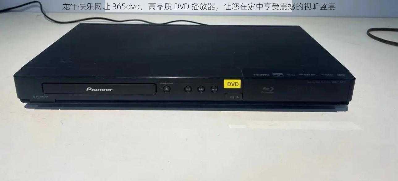 龙年快乐网址 365dvd，高品质 DVD 播放器，让您在家中享受震撼的视听盛宴