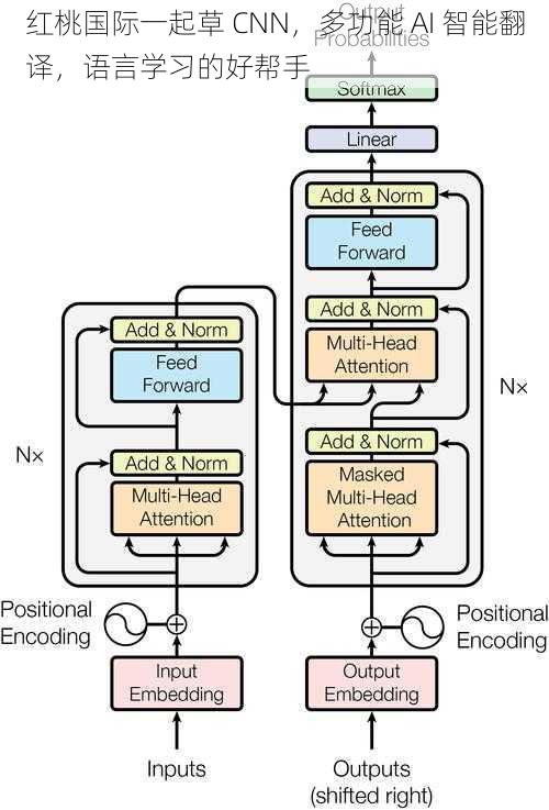 红桃国际一起草 CNN，多功能 AI 智能翻译，语言学习的好帮手