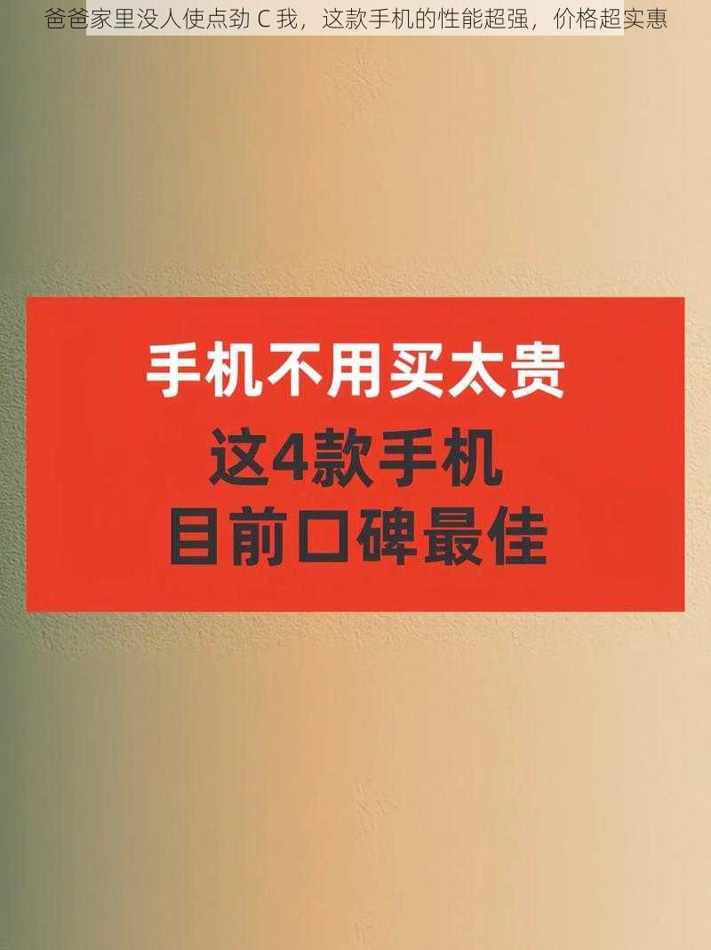 爸爸家里没人使点劲 C 我，这款手机的性能超强，价格超实惠