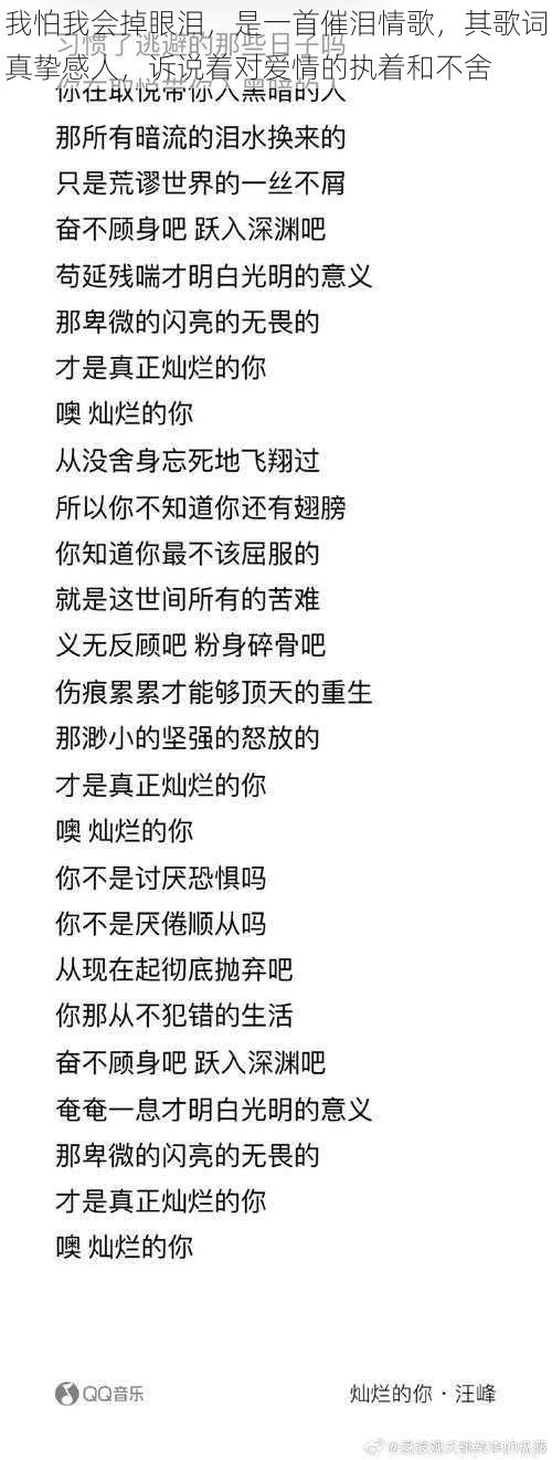 我怕我会掉眼泪，是一首催泪情歌，其歌词真挚感人，诉说着对爱情的执着和不舍