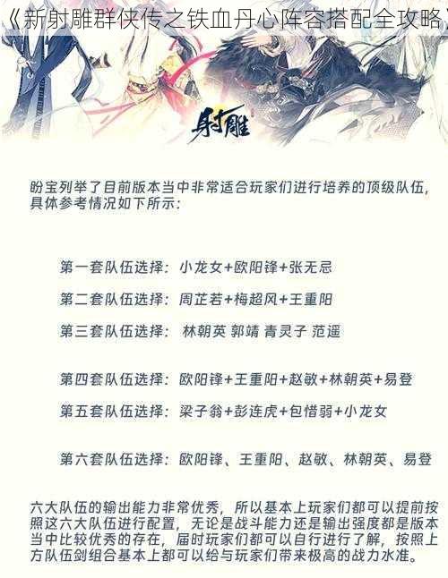 《新射雕群侠传之铁血丹心阵容搭配全攻略》