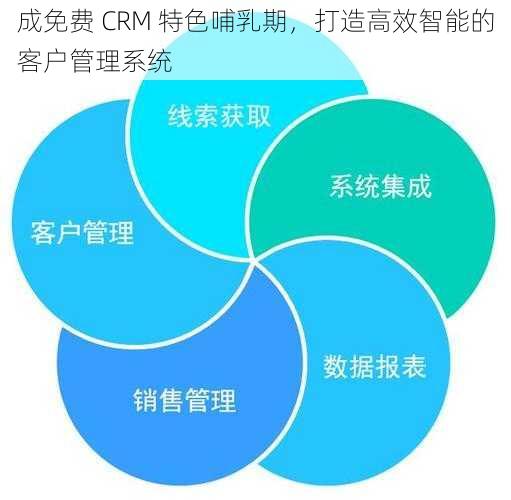 成免费 CRM 特色哺乳期，打造高效智能的客户管理系统