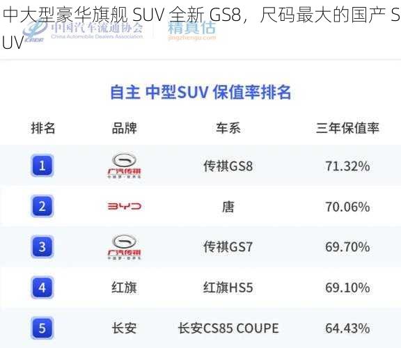 中大型豪华旗舰 SUV 全新 GS8，尺码最大的国产 SUV