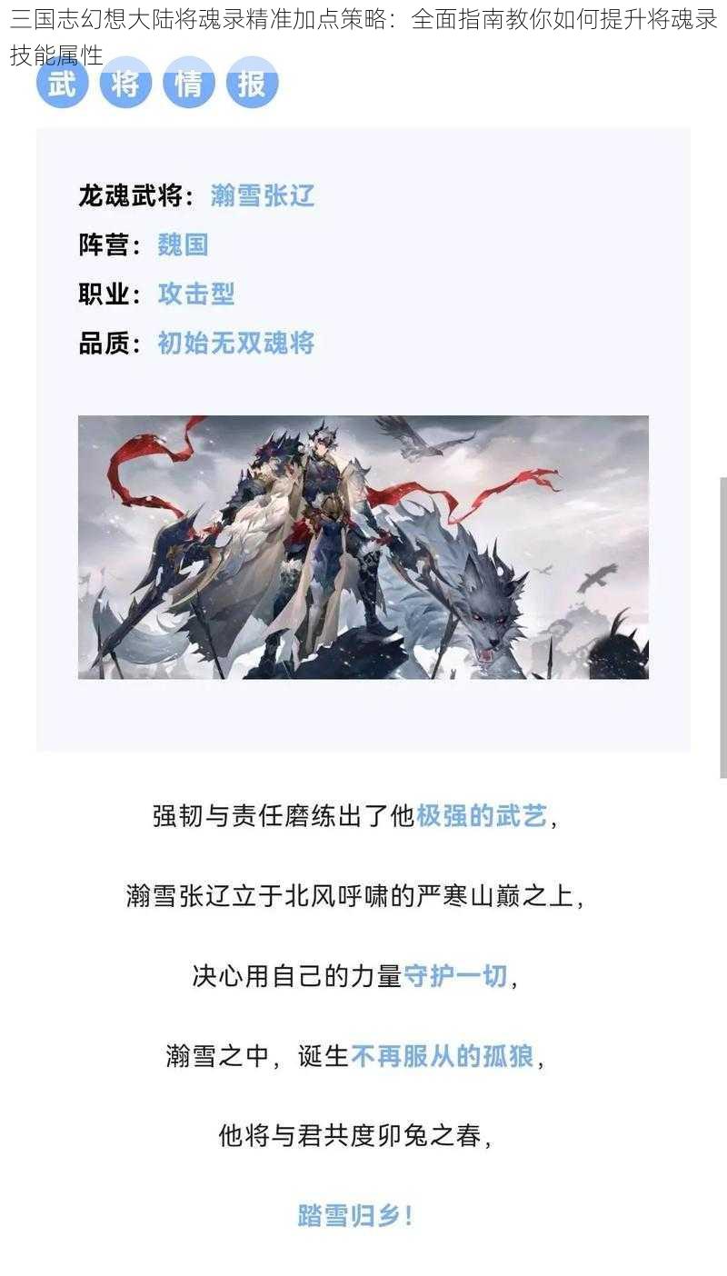 三国志幻想大陆将魂录精准加点策略：全面指南教你如何提升将魂录技能属性