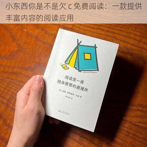 小东西你是不是欠 c 免费阅读：一款提供丰富内容的阅读应用