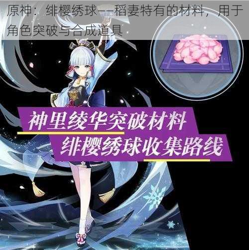 原神：绯樱绣球——稻妻特有的材料，用于角色突破与合成道具