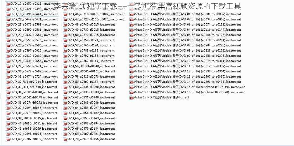 李宗瑞 bt 种子下载——一款拥有丰富视频资源的下载工具