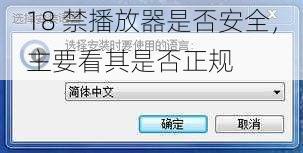 18 禁播放器是否安全，主要看其是否正规