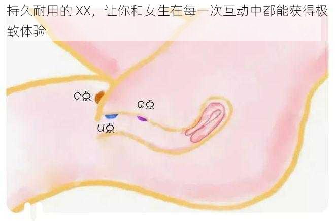 持久耐用的 XX，让你和女生在每一次互动中都能获得极致体验